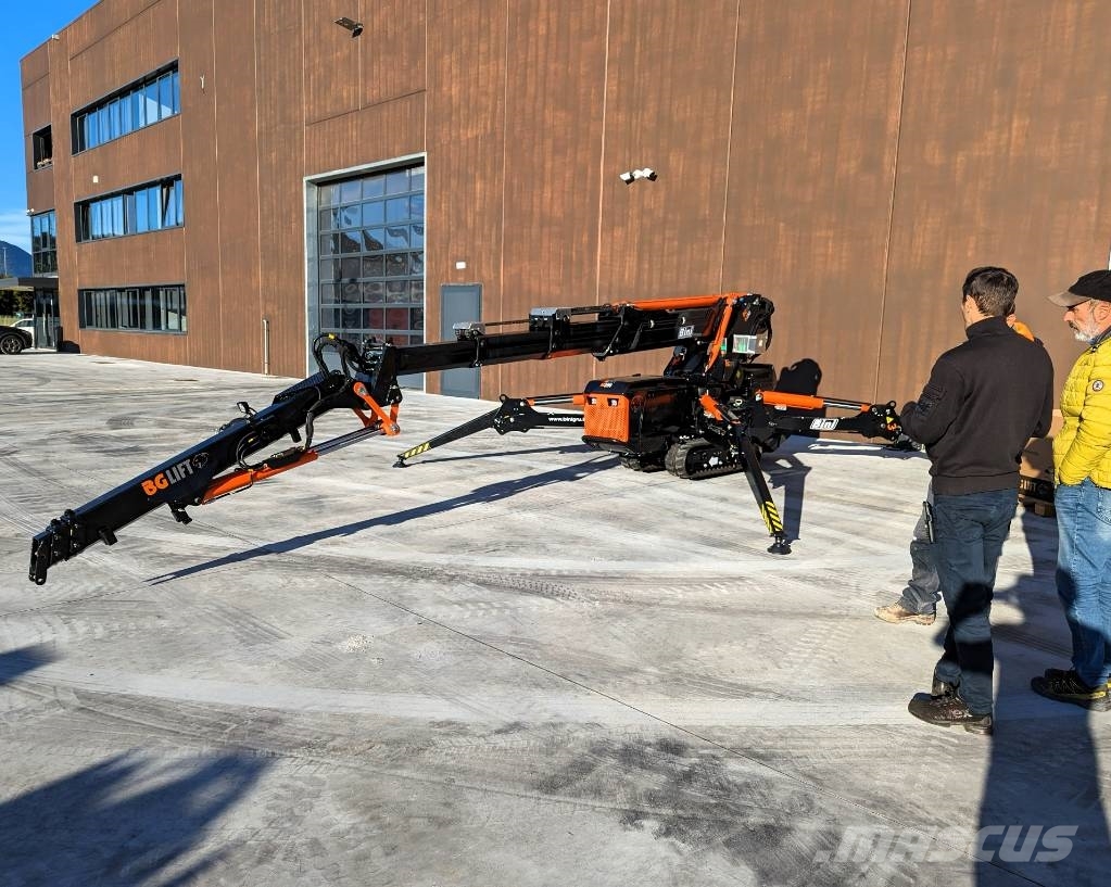 BG Lift M250 Paletli vinçler