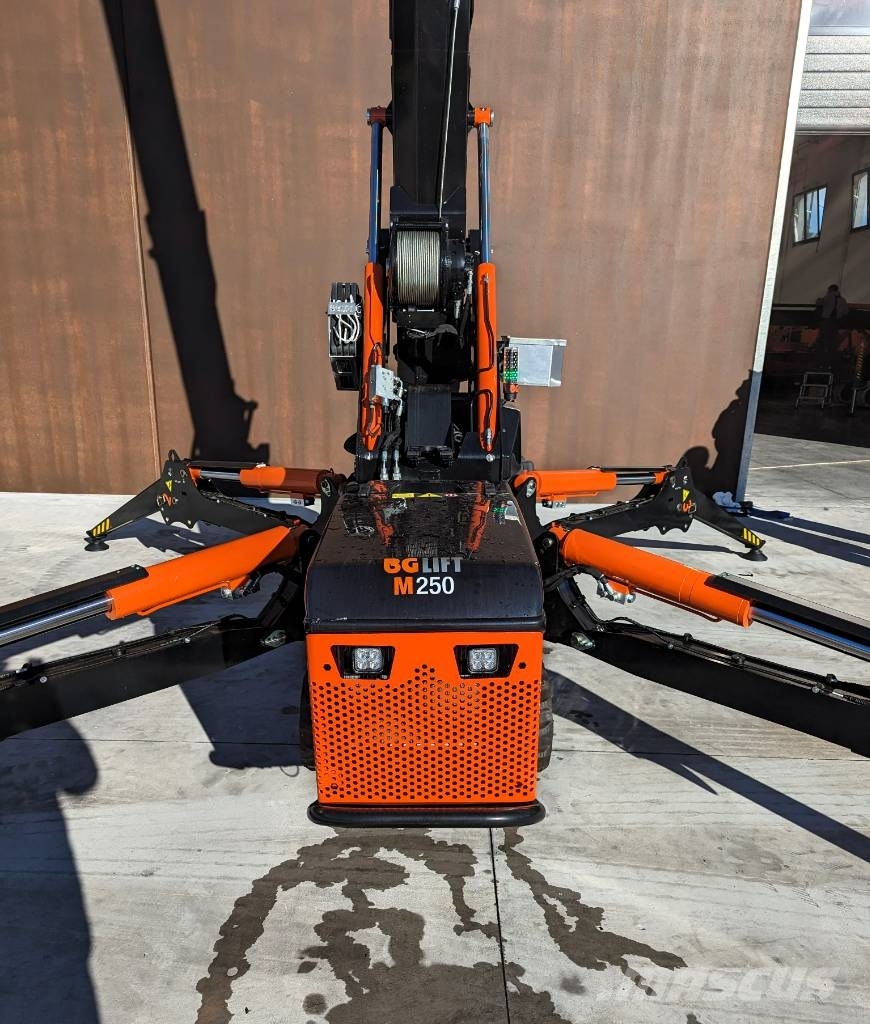 BG Lift M250 Paletli vinçler