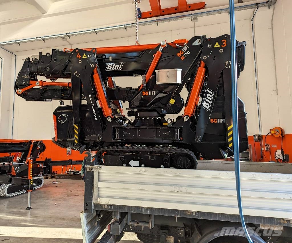 BG Lift M250 Paletli vinçler