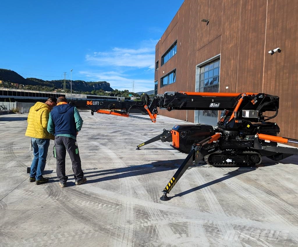 BG Lift M250 Paletli vinçler