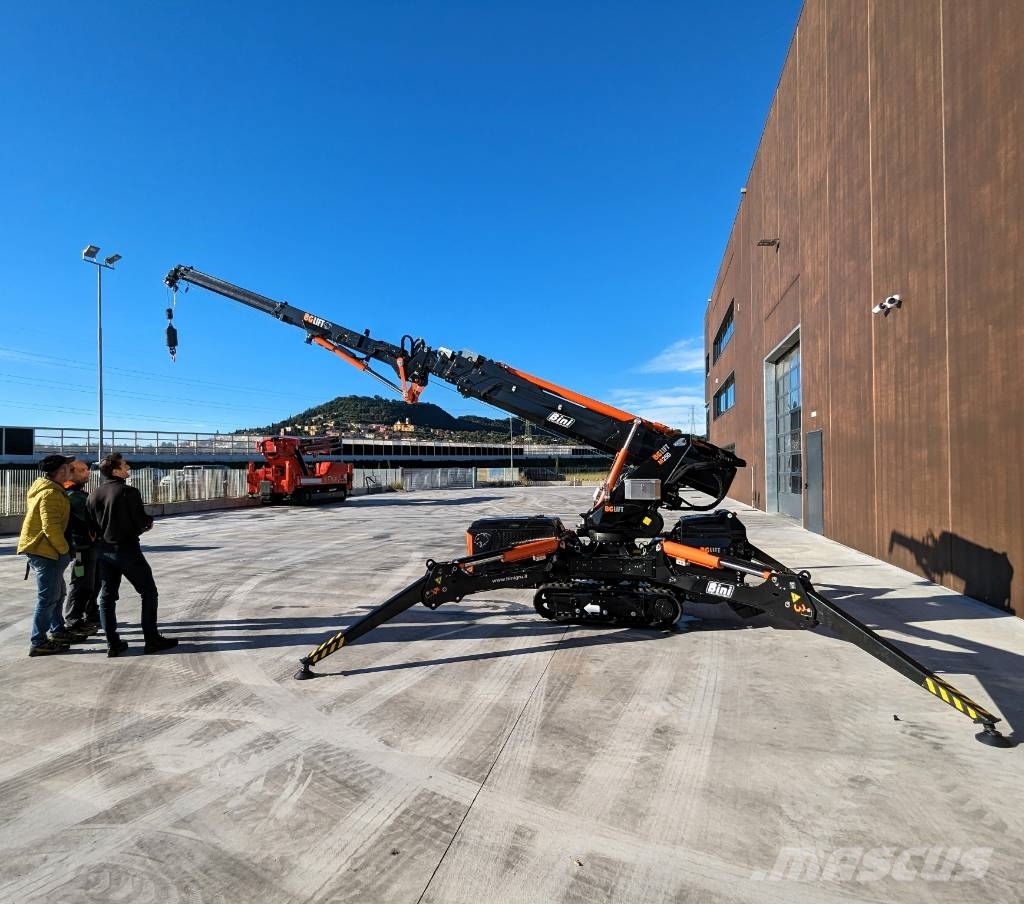 BG Lift M250 Paletli vinçler