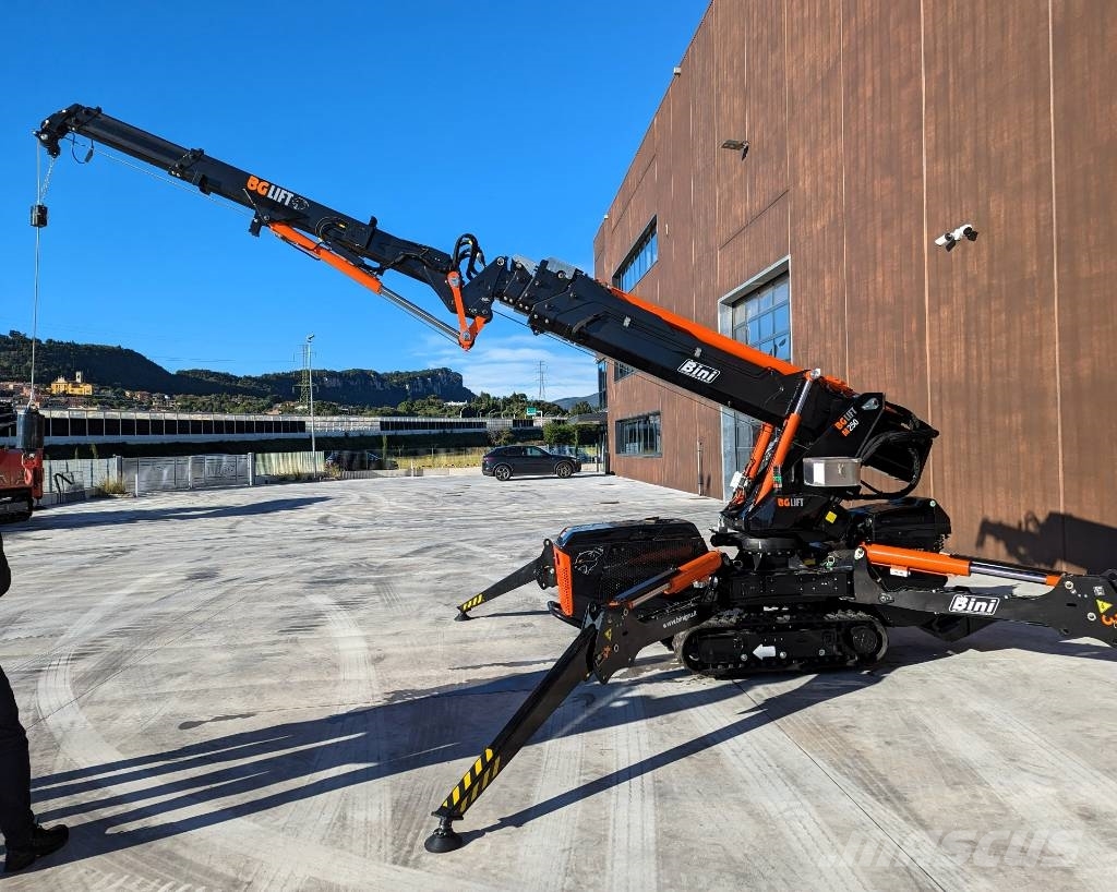 BG Lift M250 Paletli vinçler