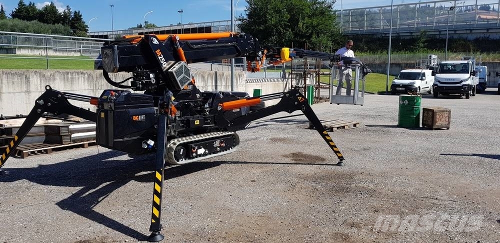 BG Lift M250 Paletli vinçler