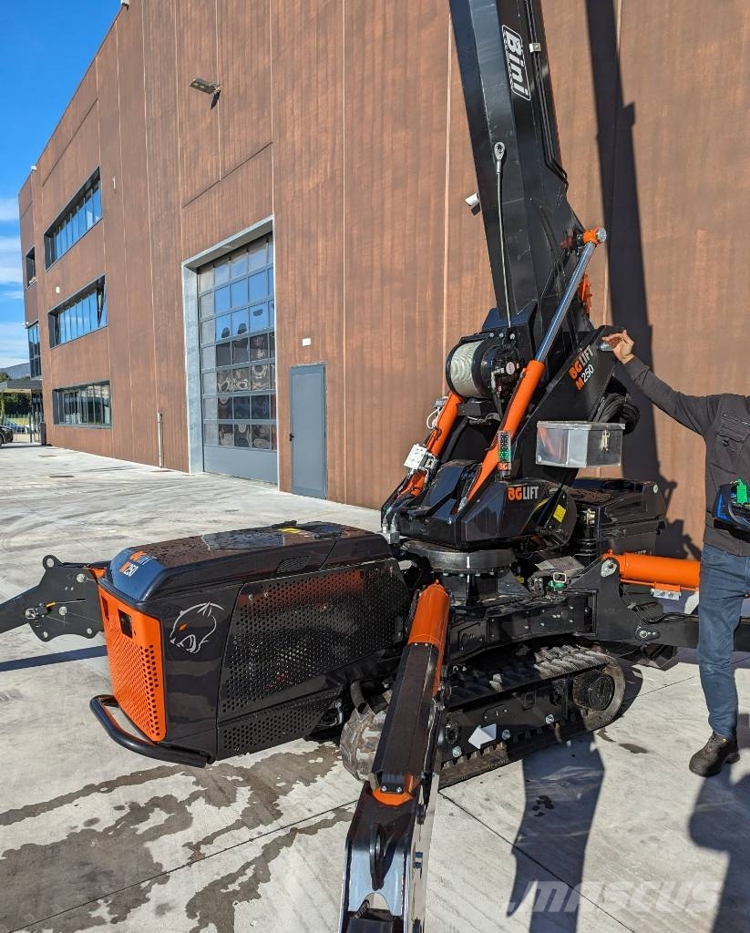 BG Lift M250 Paletli vinçler