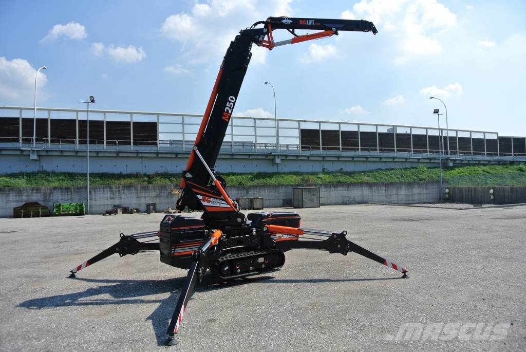 BG Lift M250 Paletli vinçler