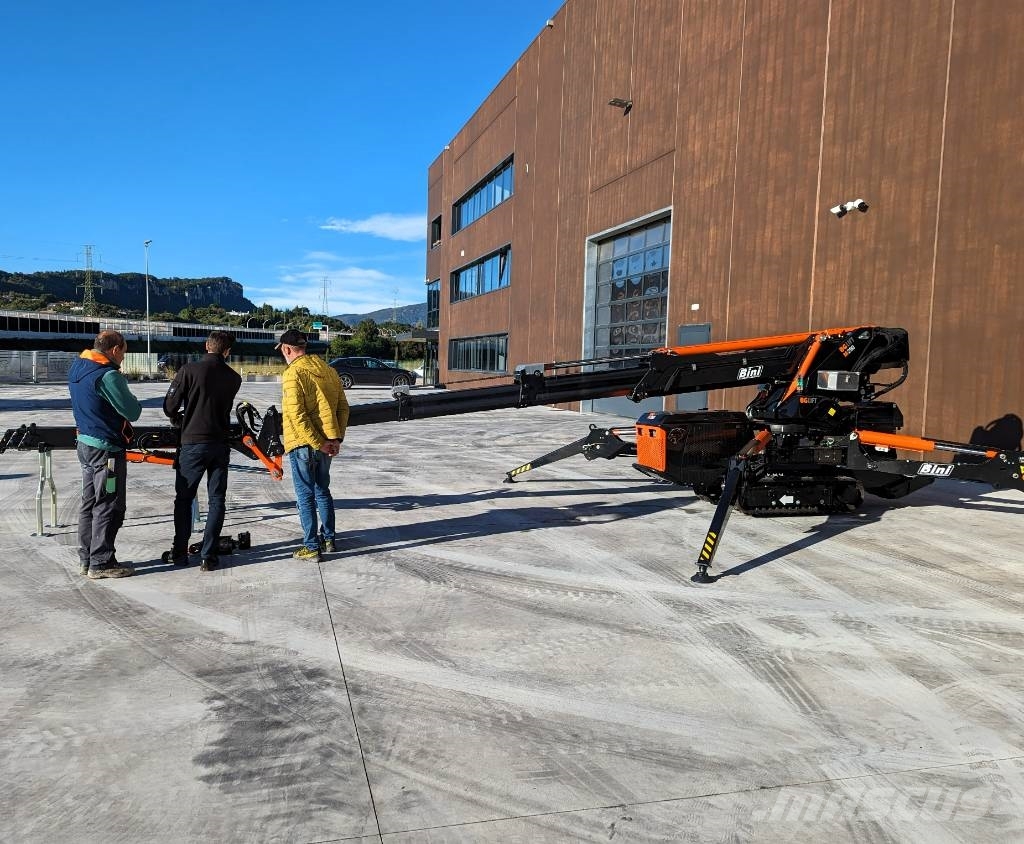 BG Lift M250 Paletli vinçler