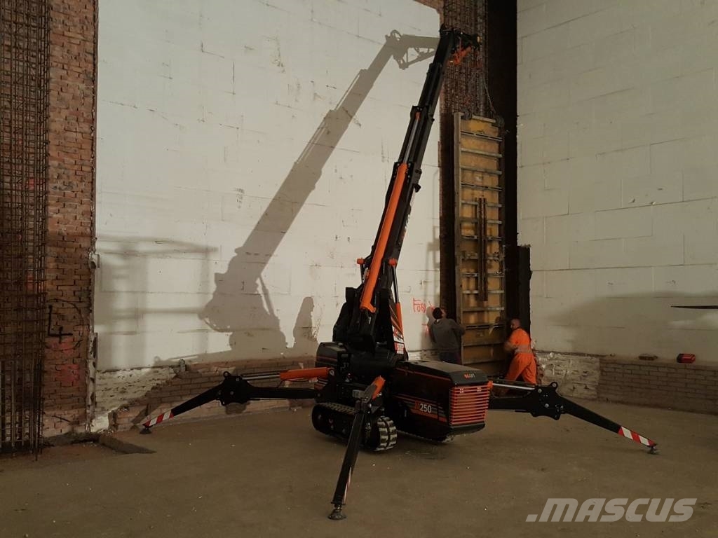 BG Lift M250 Paletli vinçler