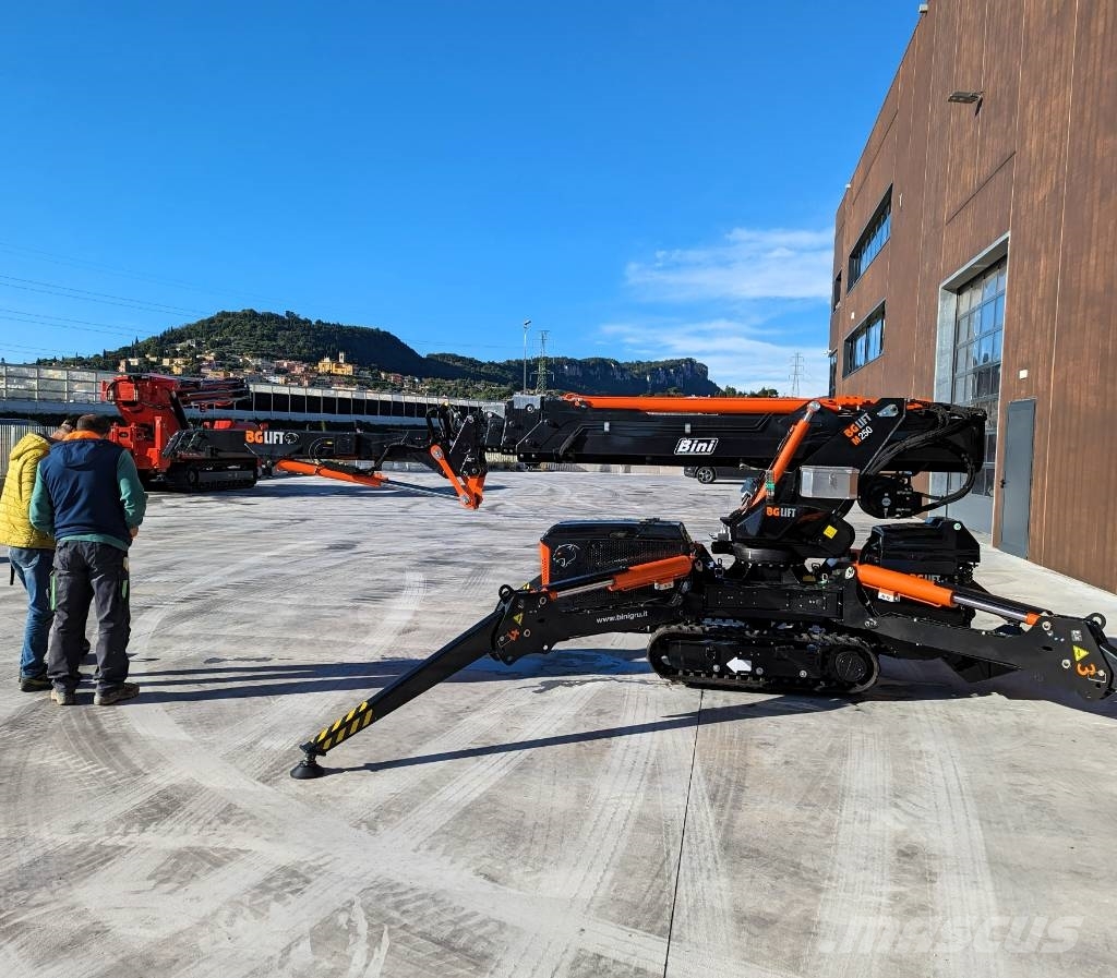 BG Lift M250 Paletli vinçler