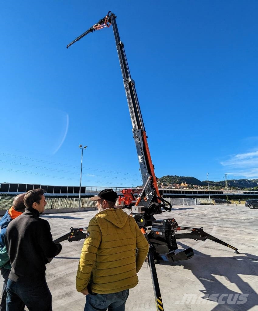 BG Lift M250 Paletli vinçler