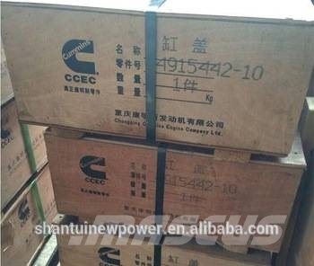 Cummins NT855 cylinder head 4915442 Moteur