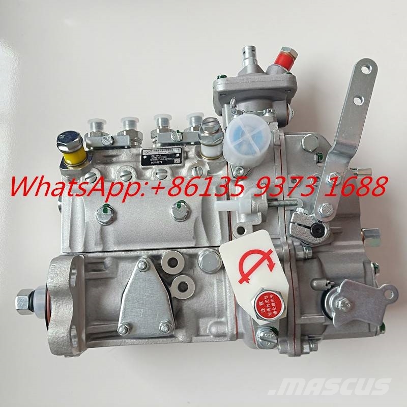 Cummins 4BT3.9-C80 Fuel Injection Pump 3973845 3973846 Moteur