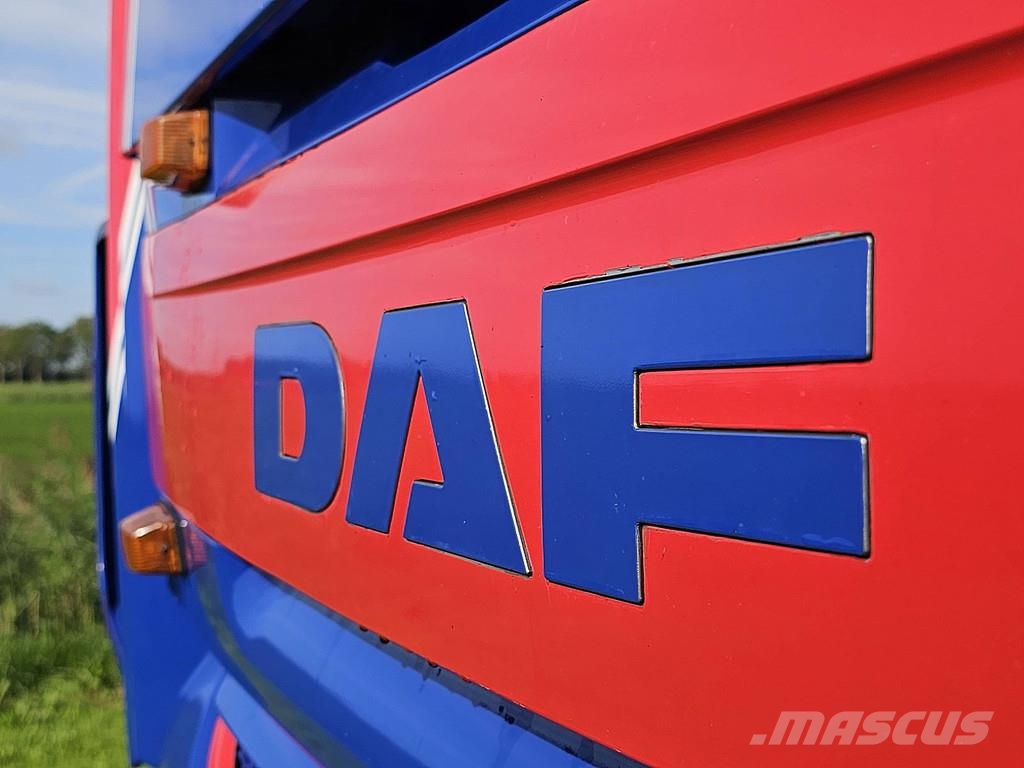 DAF XF 440 6x2 FTP NL-Truck! Sattelzugmaschinen