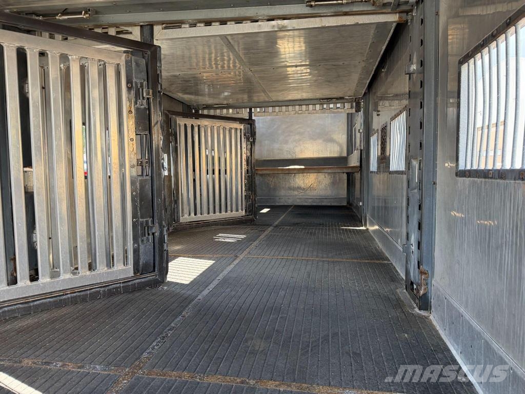 MAN TGX 26.480 6X2*4 EURO4 + RETARDER + DOUBLE FLOOR B Camiones para transporte de animales