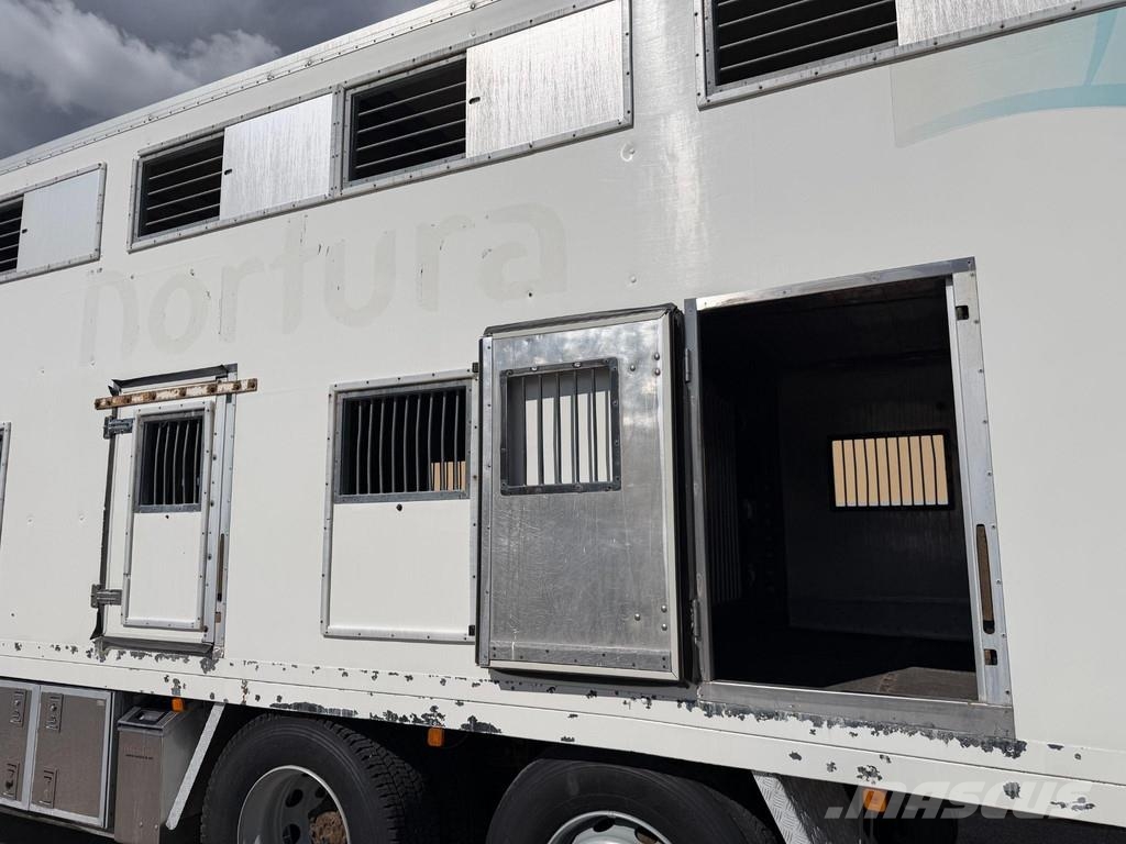 MAN TGX 26.480 6X2*4 EURO4 + RETARDER + DOUBLE FLOOR B Camiones para transporte de animales
