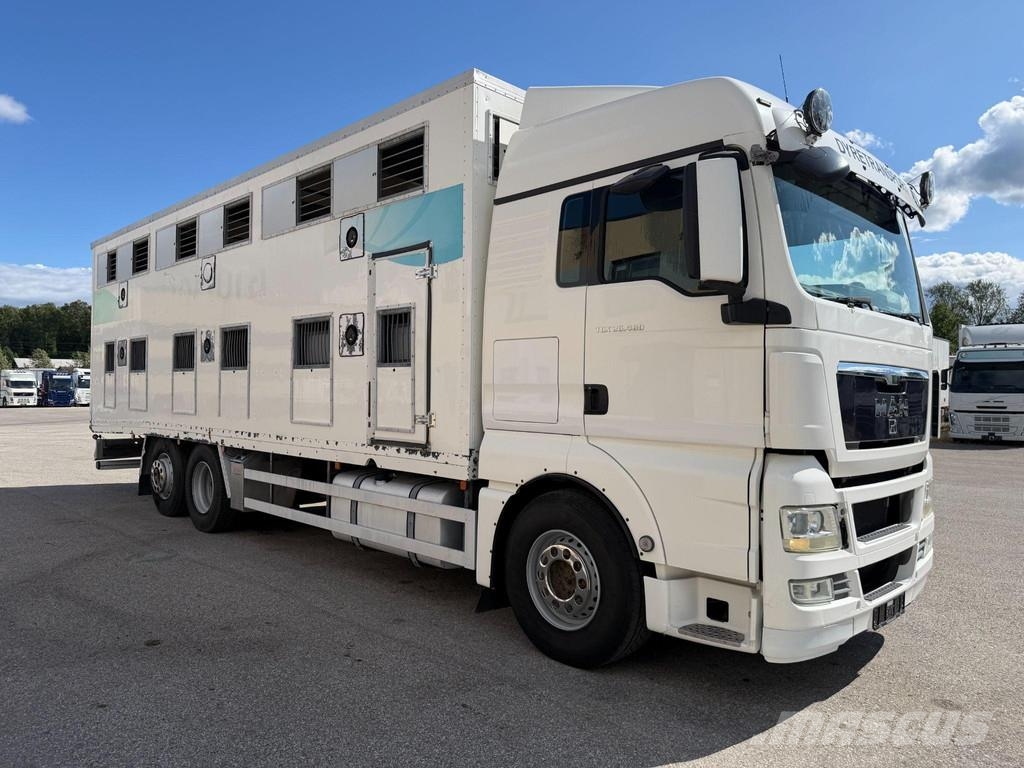 MAN TGX 26.480 6X2*4 EURO4 + RETARDER + DOUBLE FLOOR B Camiones para transporte de animales