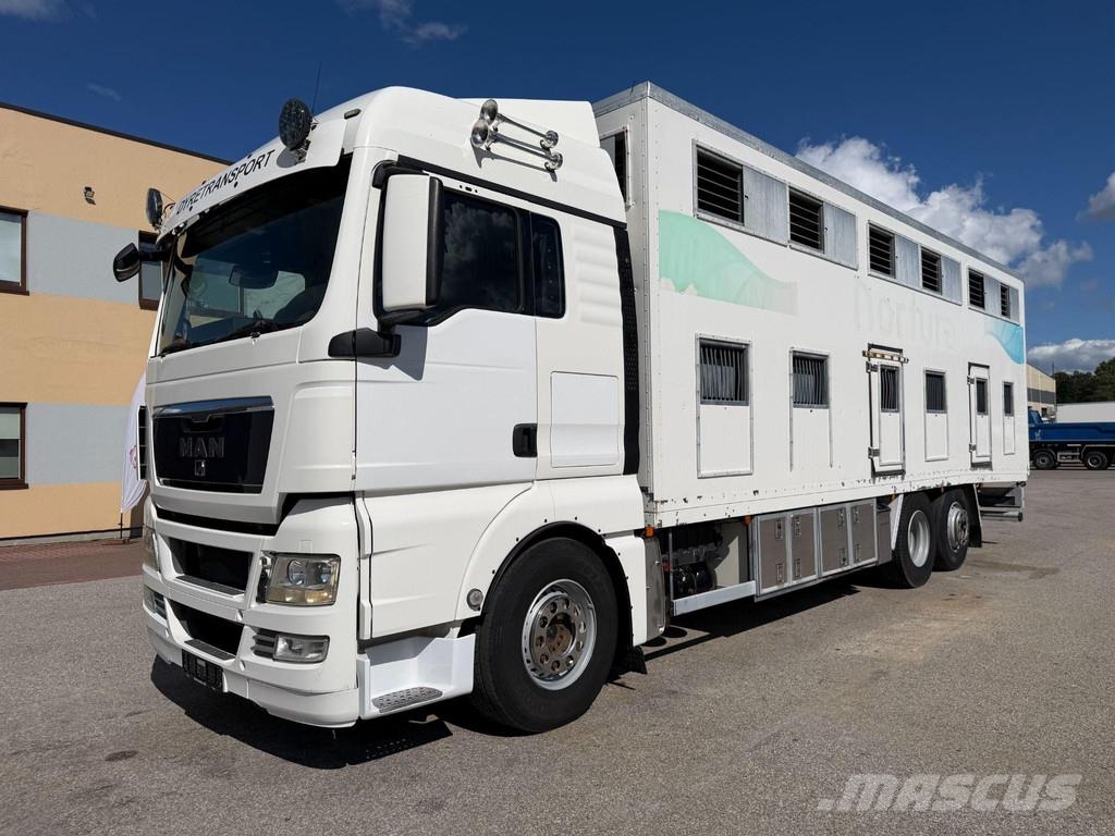 MAN TGX 26.480 6X2*4 EURO4 + RETARDER + DOUBLE FLOOR B Camiones para transporte de animales