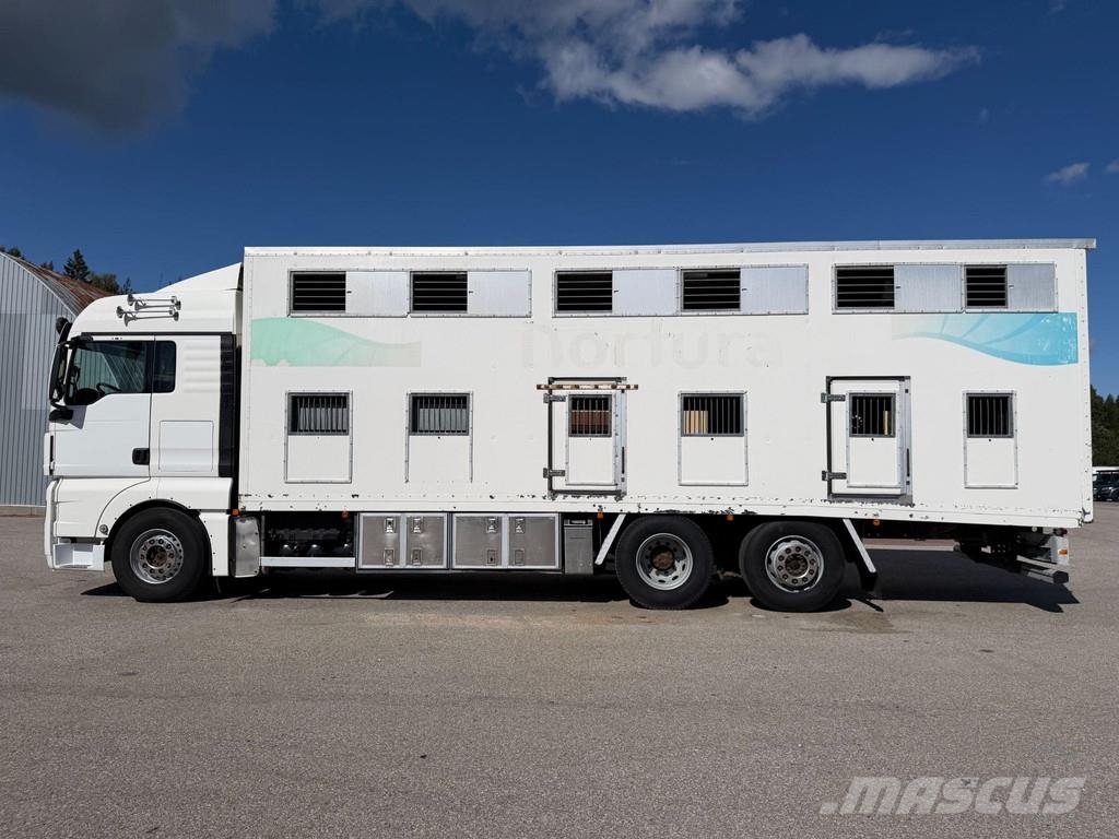 MAN TGX 26.480 6X2*4 EURO4 + RETARDER + DOUBLE FLOOR B Camiones para transporte de animales