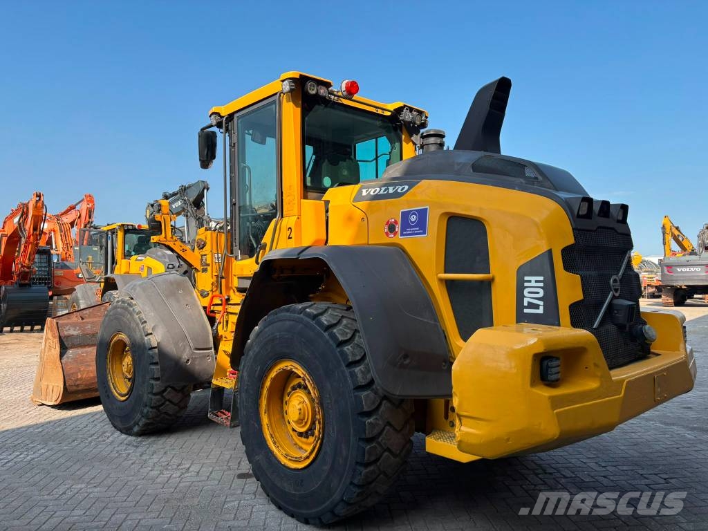 Volvo L 70 H Pale gommate