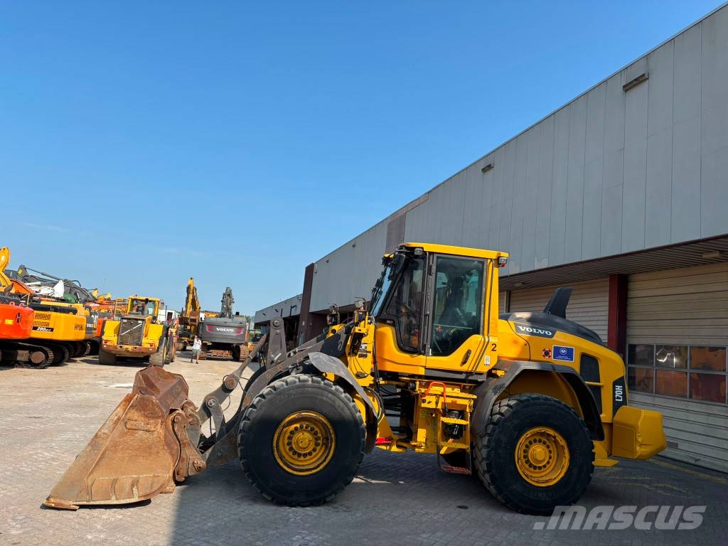 Volvo L 70 H Pale gommate