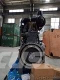 Weichai WP6G125E22 Diesel motor Motoare
