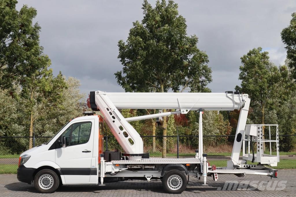 Mercedes-Benz Sprinter 313 | RUTHMANN TB220 | 22 METER | JIB | E Моторизирани платформи с талига