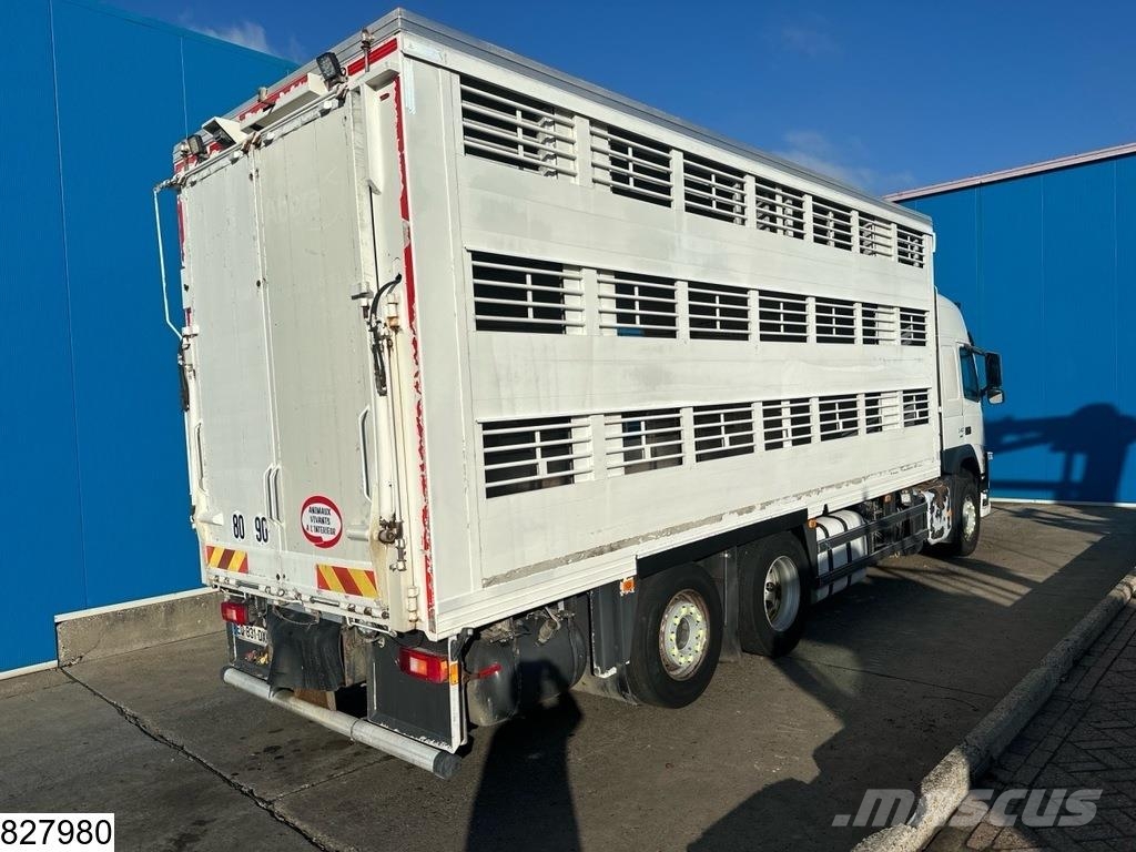 Volvo FM 540 EURO 6, 6x2 Dieren transport