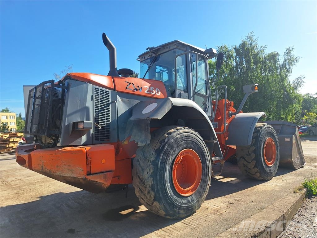 Hitachi ZW 250 4X4 Outros