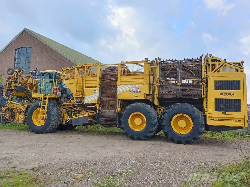 Ropa tiger 5c beet harvester bieten rooier Juurviljakoristuskombainid