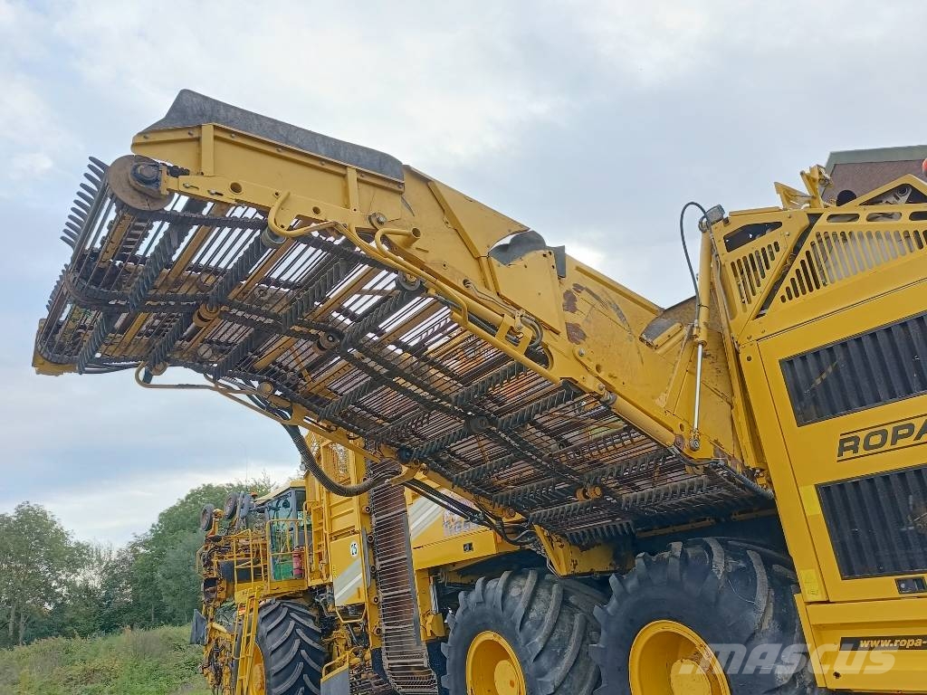Ropa tiger 5c beet harvester bieten rooier Juurviljakoristuskombainid