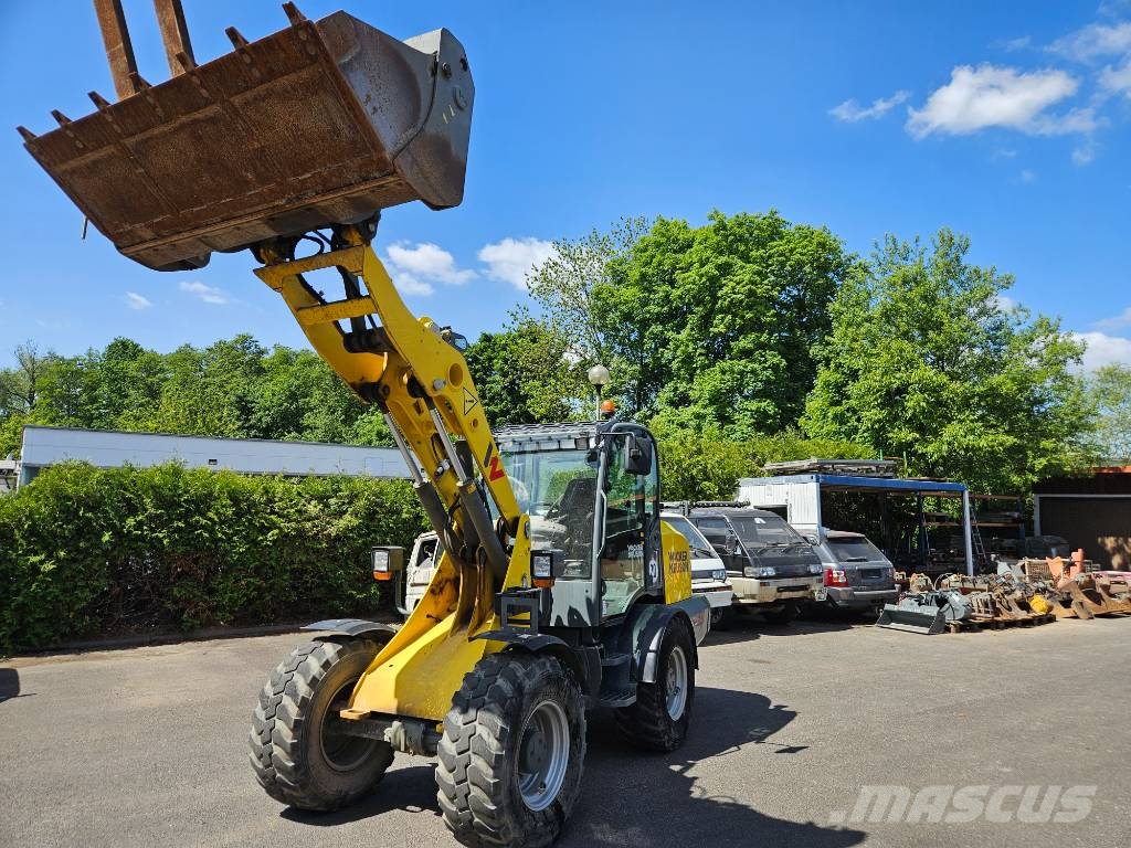 Wacker Neuson WL 60 لوادر بعجل