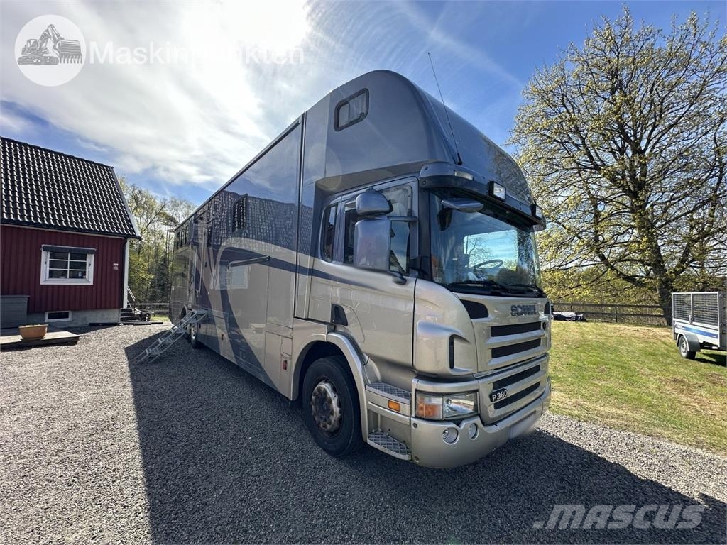Scania P380Lb 6*2*4Mnb Camiones de ganado