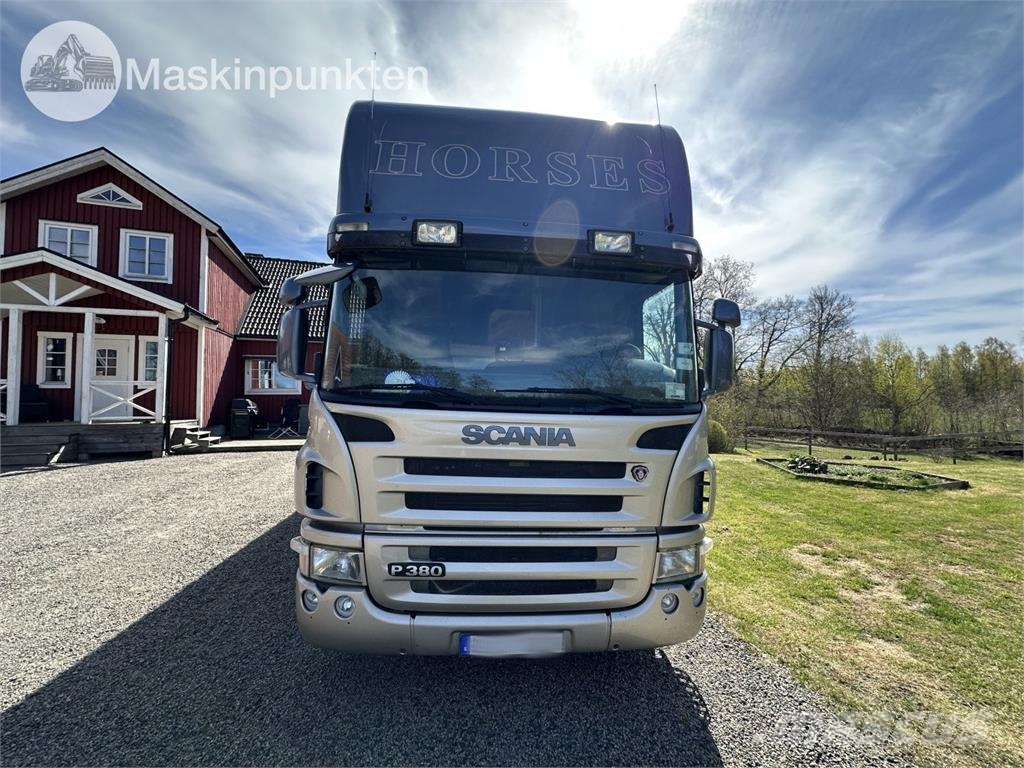 Scania P380Lb 6*2*4Mnb Camiones de ganado