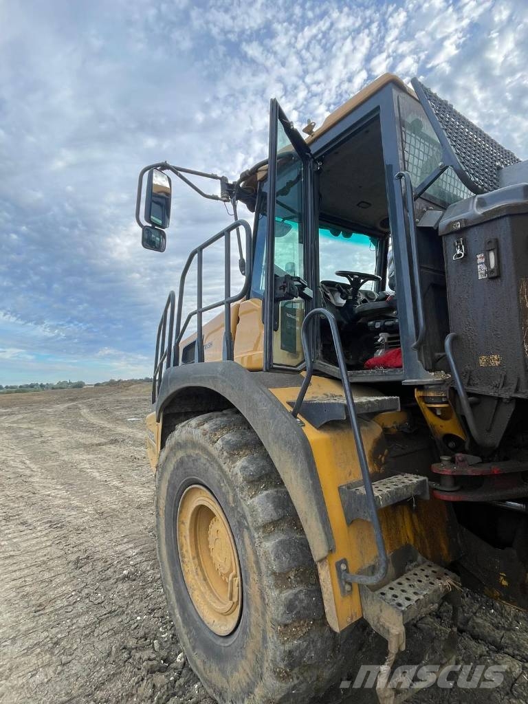 Bell B 30 E Dumper - Knickgelenk