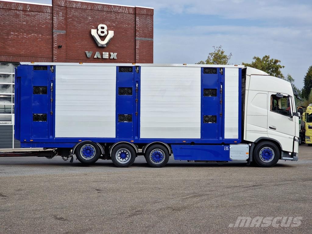 Volvo FH 13.500 Globetrotter 8x2*6 - 3 deck livestock + Dieren transport trucks