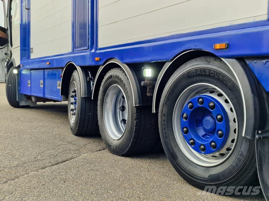 Volvo FH 13.500 Globetrotter 8x2*6 - 3 deck livestock + Dieren transport trucks
