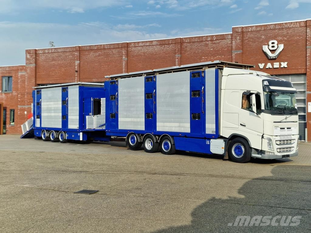 Volvo FH 13.500 Globetrotter 8x2*6 - 3 deck livestock + Dieren transport trucks