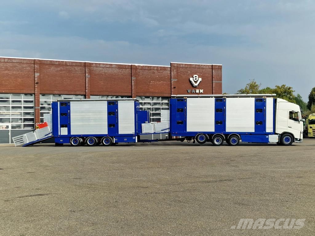 Volvo FH 13.500 Globetrotter 8x2*6 - 3 deck livestock + Dieren transport trucks