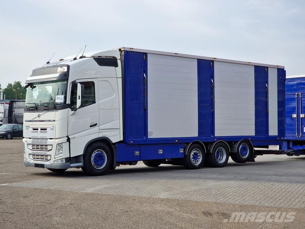 Volvo FH 13.500 Globetrotter 8x2*6 - 3 deck livestock + Dieren transport trucks