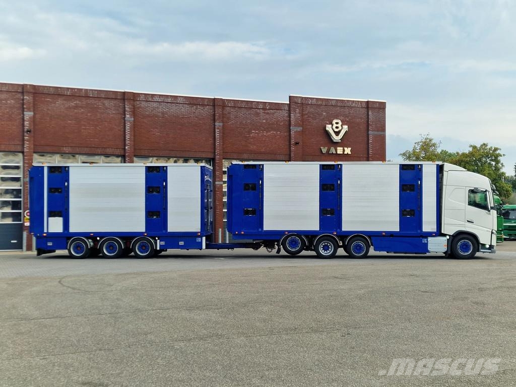 Volvo FH 13.500 Globetrotter 8x2*6 - 3 deck livestock + Dieren transport trucks