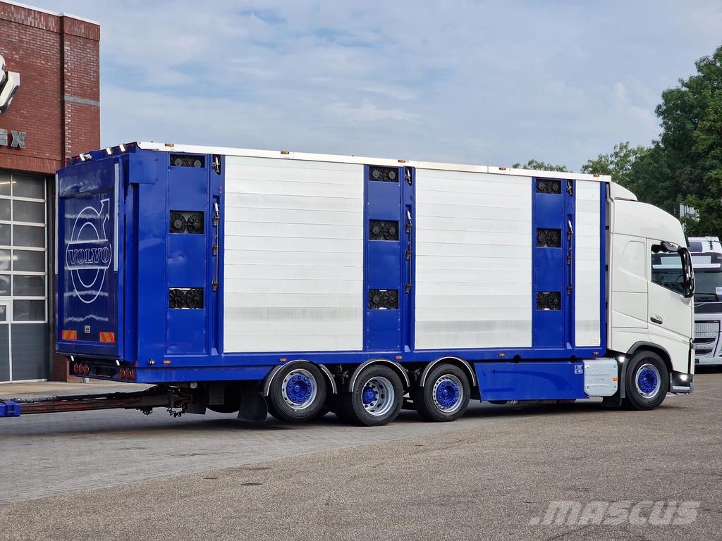 Volvo FH 13.500 Globetrotter 8x2*6 - 3 deck livestock + Dieren transport trucks