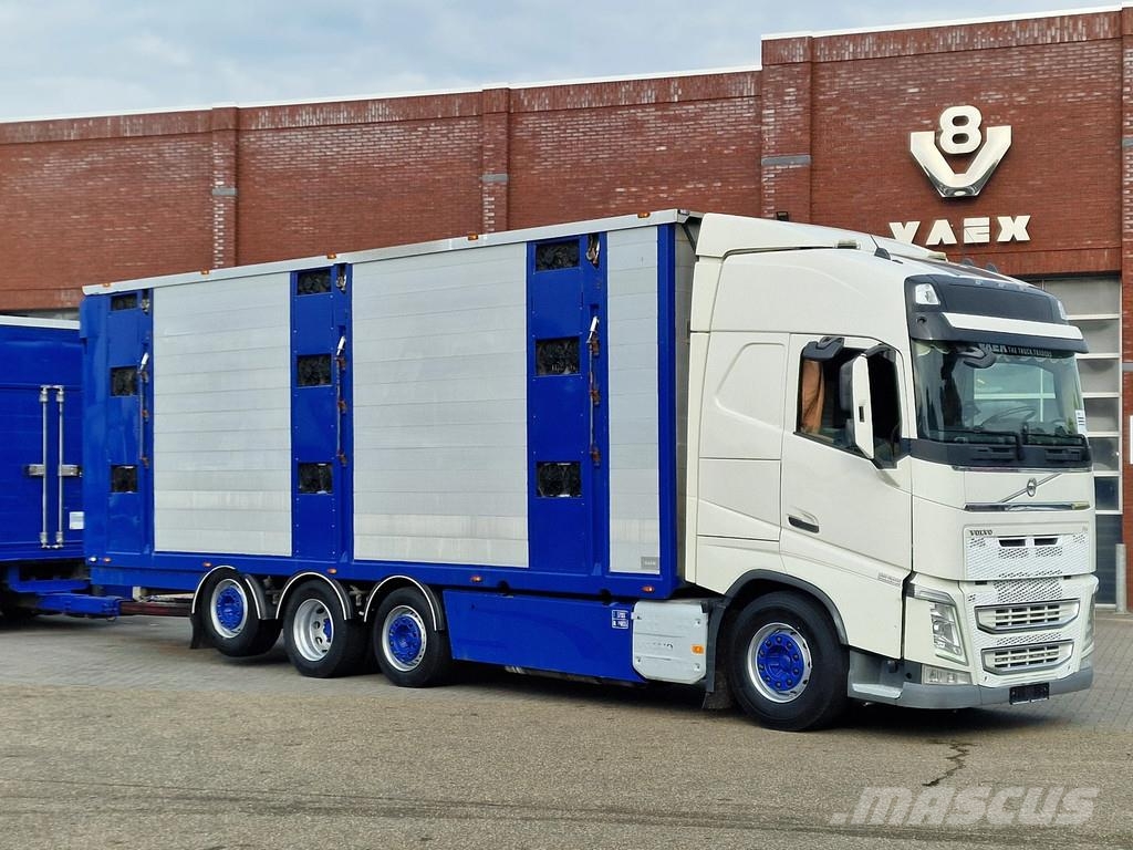 Volvo FH 13.500 Globetrotter 8x2*6 - 3 deck livestock + Dieren transport trucks