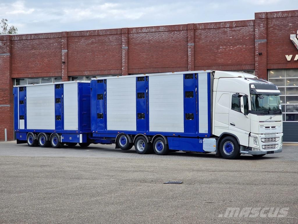 Volvo FH 13.500 Globetrotter 8x2*6 - 3 deck livestock + Dieren transport trucks