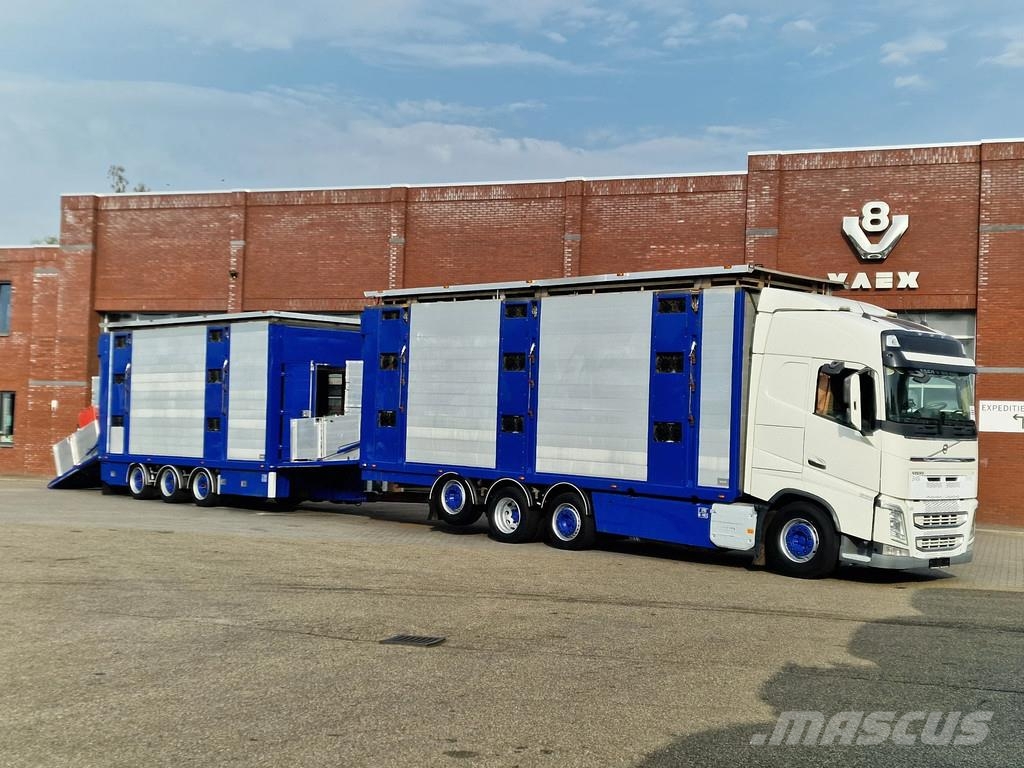 Volvo FH 13.500 Globetrotter 8x2*6 - 3 deck livestock + Dieren transport trucks
