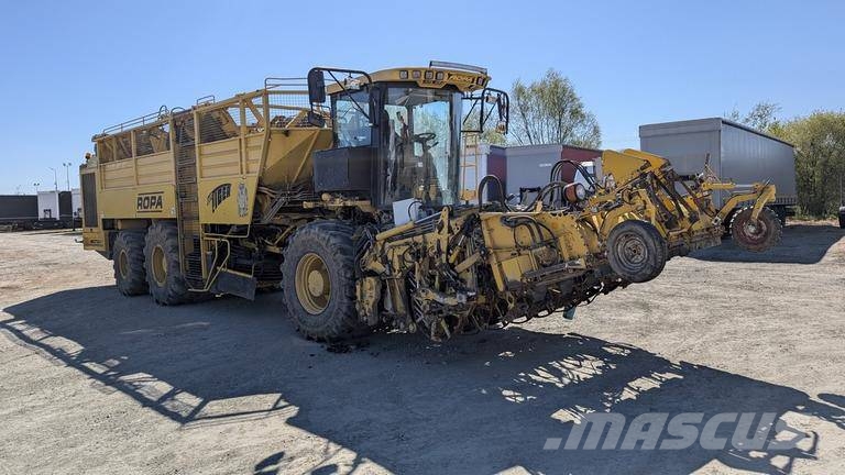 Ropa TIGER V8-3 beet harvester / 6000 MTH Μηχανή εξαγωγής και συλλογής τεύτλων