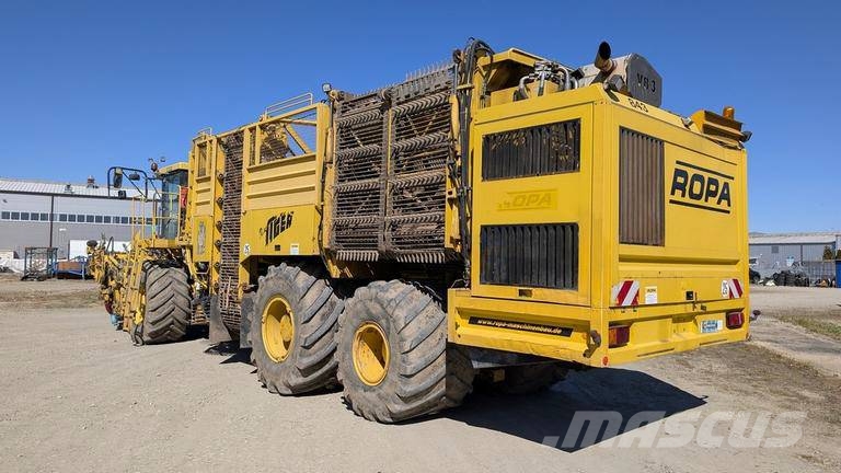 Ropa TIGER V8-3 beet harvester / 6000 MTH Μηχανή εξαγωγής και συλλογής τεύτλων