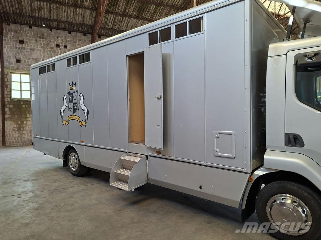 DAF LF 55 AE 55 LF-12 |VERVOER VOOR 5 PAARDEN | INGEBO Dyretransport