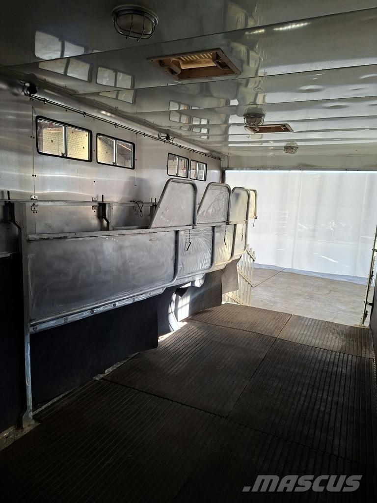 DAF LF 55 AE 55 LF-12 |VERVOER VOOR 5 PAARDEN | INGEBO Dyretransport
