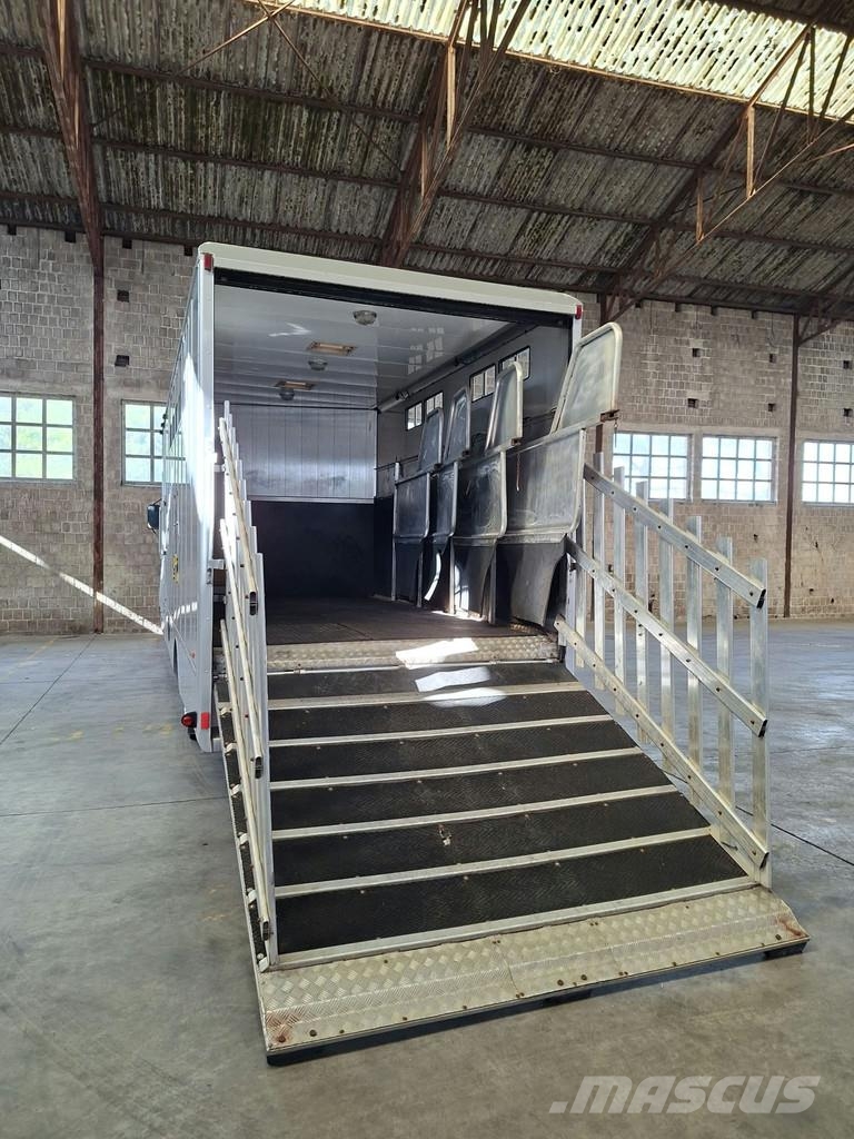 DAF LF 55 AE 55 LF-12 |VERVOER VOOR 5 PAARDEN | INGEBO Dyretransport