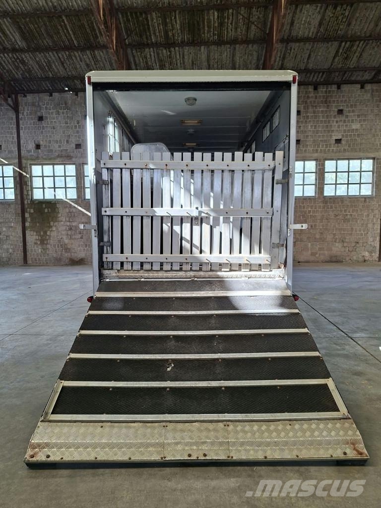 DAF LF 55 AE 55 LF-12 |VERVOER VOOR 5 PAARDEN | INGEBO Dyretransport
