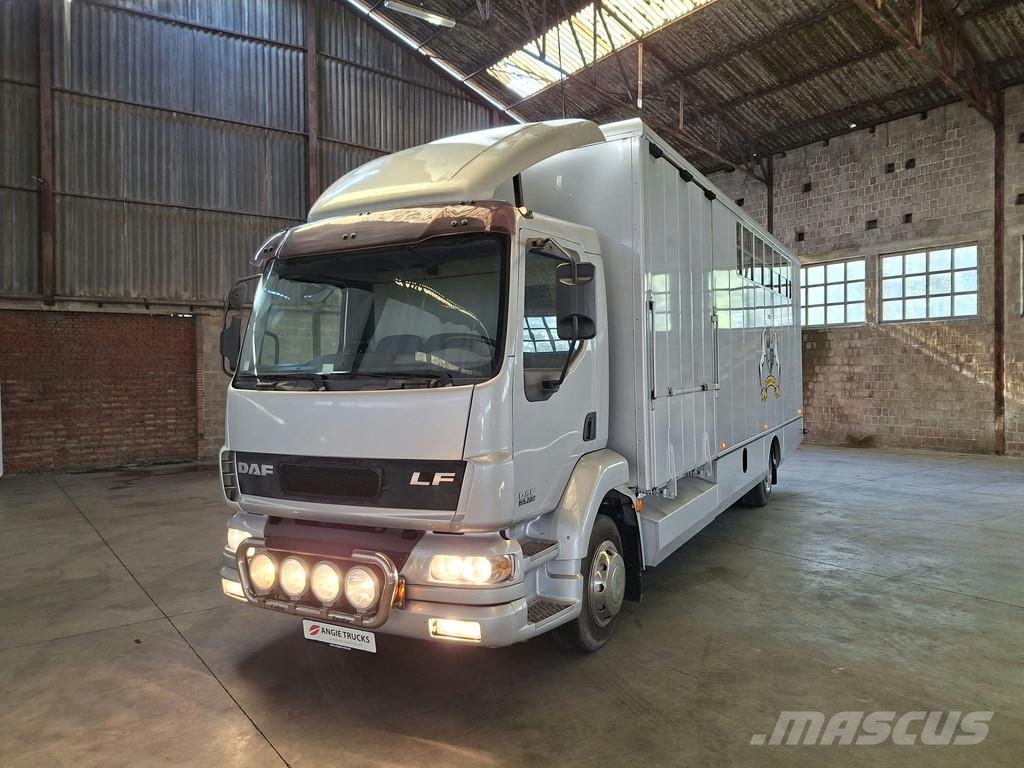 DAF LF 55 AE 55 LF-12 |VERVOER VOOR 5 PAARDEN | INGEBO Dyretransport